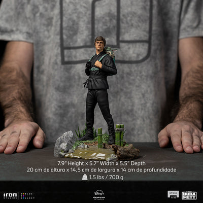 Book of Boba Fett - Luke Skywalker and Grogu Training Art Scale 1/10