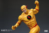 Reverse Flash 1/4 Scale Statue