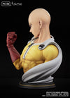 One Punch Man - Saitama - My Ultimate Bust