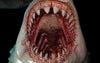 The Great White Shark Museum Series Statue