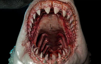 The Great White Shark Museum Series Statue