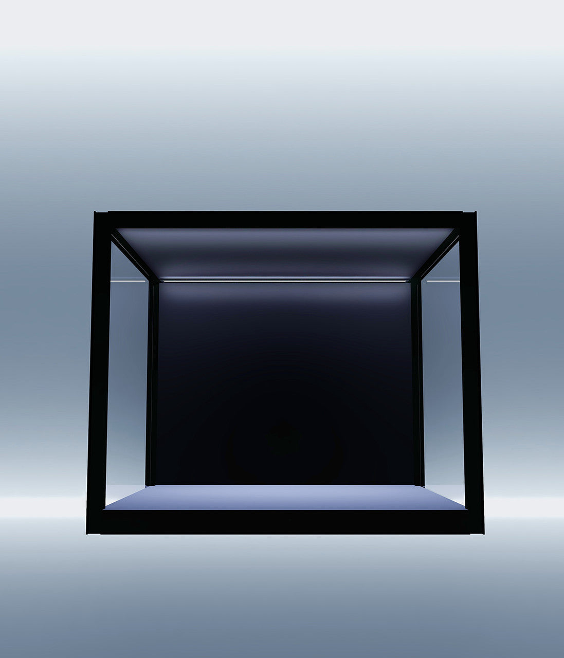 Empty Window Case Empty Display Case