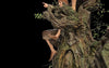 TREEBEARD Masters Collection Statue by WETA