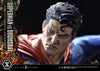 Superman vs Doomsday - DC Comics - DELUXE BONUS