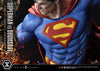 Superman vs Doomsday - DC Comics - DELUXE BONUS