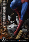 Superman vs Doomsday - DC Comics - REGULAR
