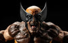 Wolverine (Brown Costume) 1/4 Scale Statue
