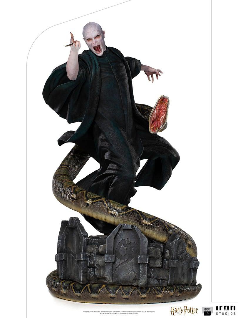 26+] Harry Potter and Voldemort Wallpapers - WallpaperSafari