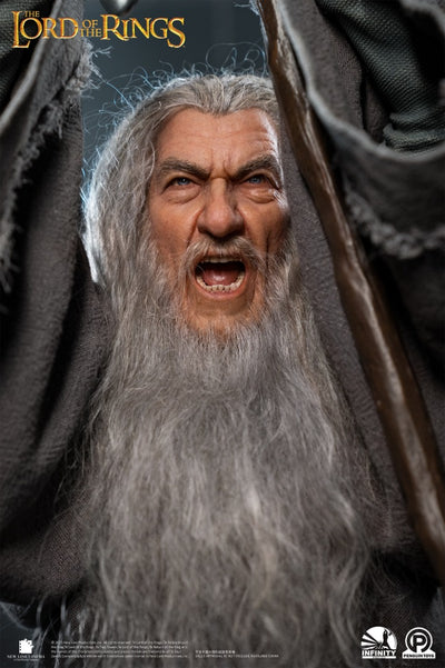 Gandalf the Grey 1/2 Scale ULTIMATE (SILICONE HEAD) Statue