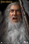 Gandalf the Grey 1/2 Scale ULTIMATE (SILICONE HEAD) Statue