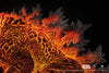 Burning Godzilla Statue - Regular Edition