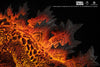 Burning Godzilla Statue - Regular Edition
