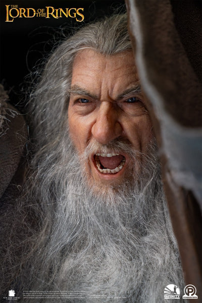 Gandalf the Grey 1/2 Scale ULTIMATE (SILICONE HEAD) Statue