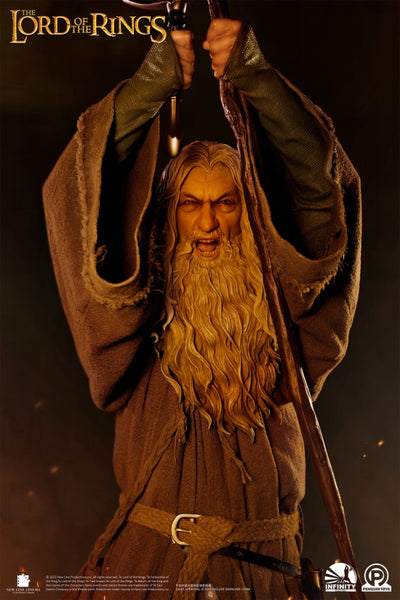 Gandalf the Grey 1/2 Scale Premium (SCULPTED HEAD) Statue