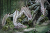 The Pilgrimage Morning Sun Limited Edition Statue by Infinity Studio