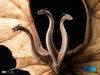 King Ghidorah (Deluxe Edition) Statue