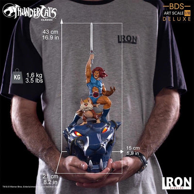 Thundercats Full Set BDS Art Scale Statues Dio