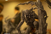Jungle Predator With Dutch Statue