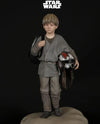 Darth Vader 1/4 Scale Premium Statue SET
